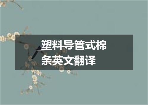 塑料导管式棉条英文翻译