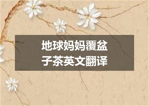 地球妈妈覆盆子茶英文翻译