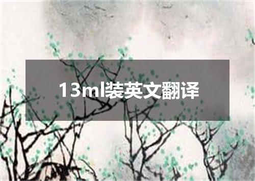 13ml装英文翻译