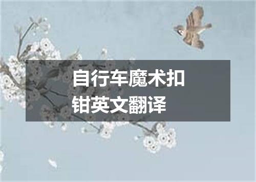 自行车魔术扣钳英文翻译