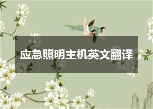 应急照明主机英文翻译