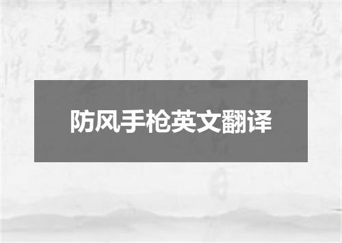 防风手枪英文翻译