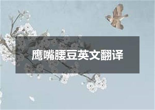 鹰嘴腰豆英文翻译