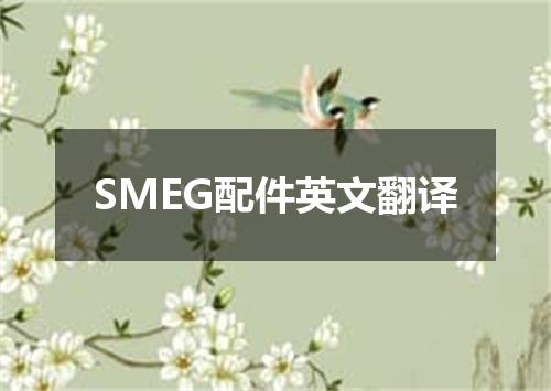 SMEG配件英文翻译