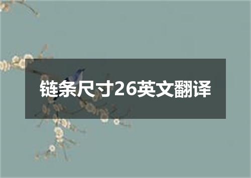 链条尺寸26英文翻译