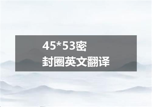 45*53密封圈英文翻译