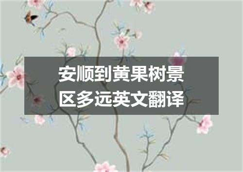 安顺到黄果树景区多远英文翻译