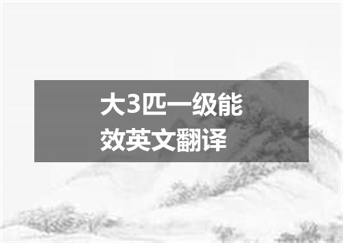 大3匹一级能效英文翻译