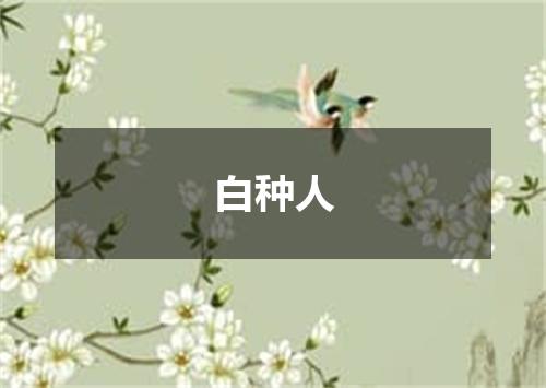 白种人