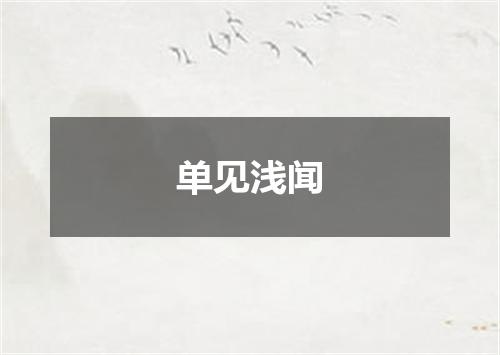 单见浅闻