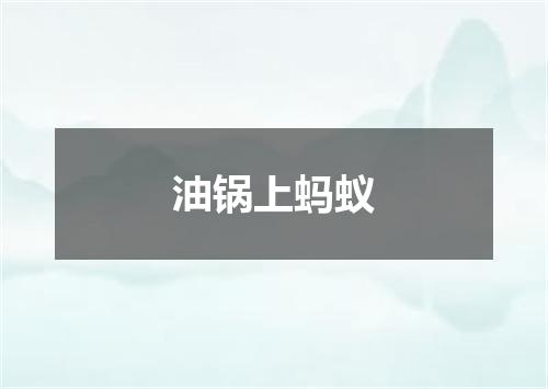 油锅上蚂蚁