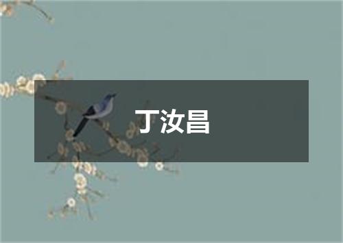 丁汝昌