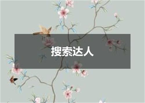 搜索达人