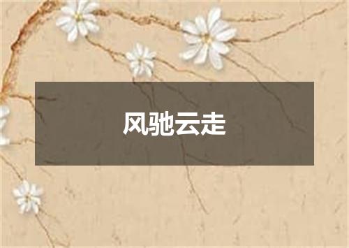 风驰云走