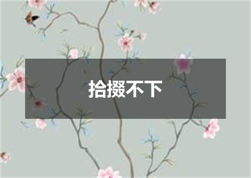拾掇不下