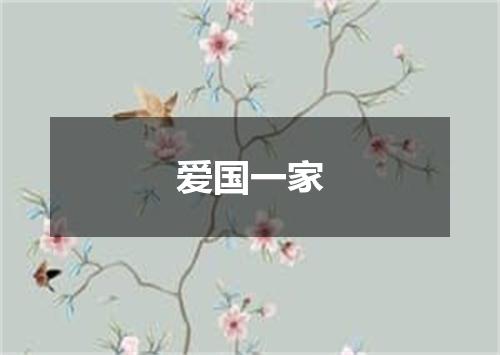爱国一家