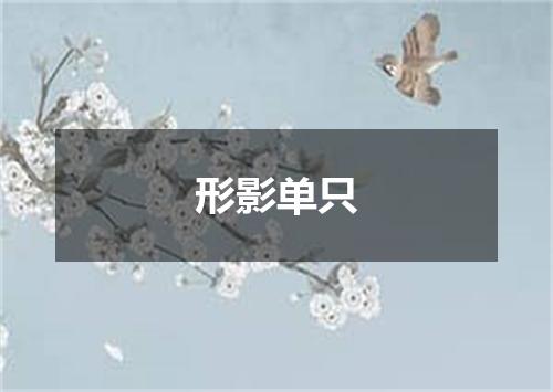 形影单只