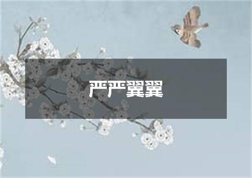 严严翼翼