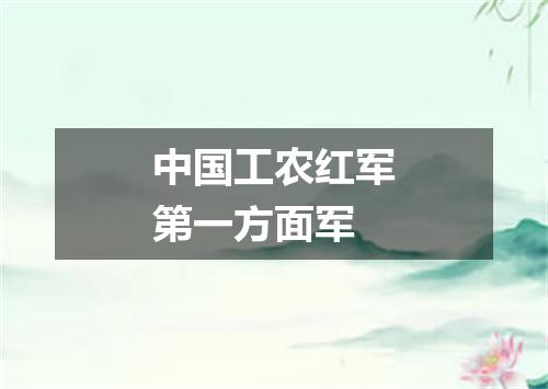中国工农红军第一方面军
