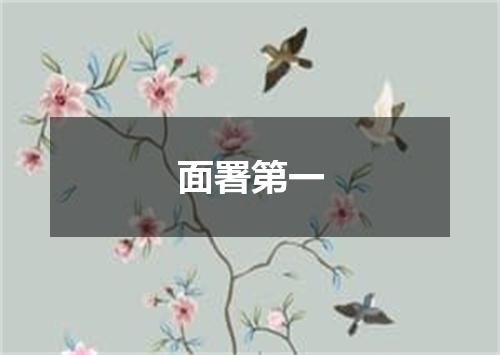 面署第一