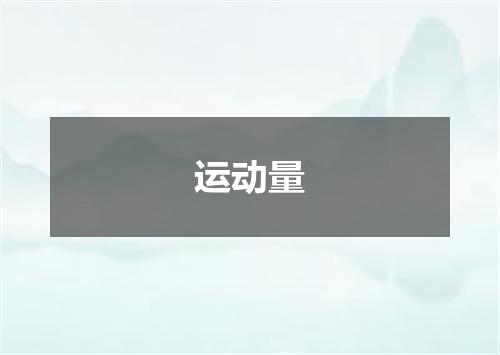 运动量