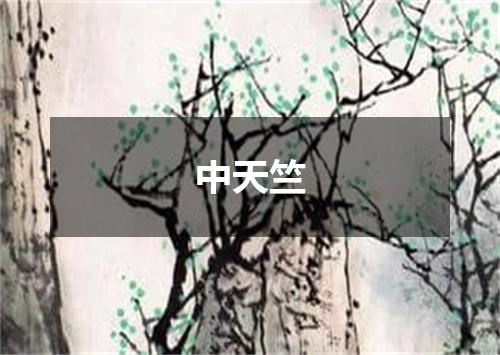 中天竺