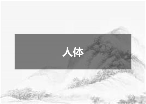 人体
