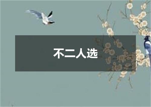 不二人选