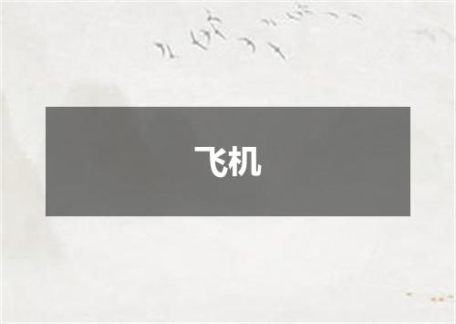 飞机