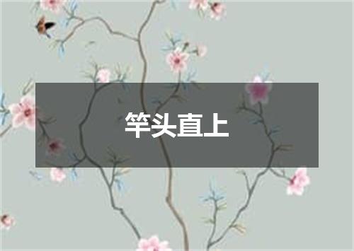 竿头直上