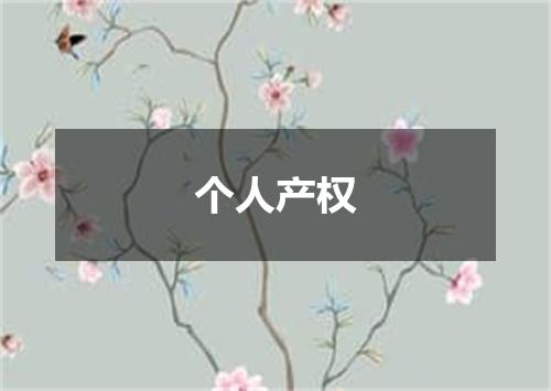 个人产权