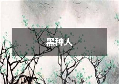 黑种人