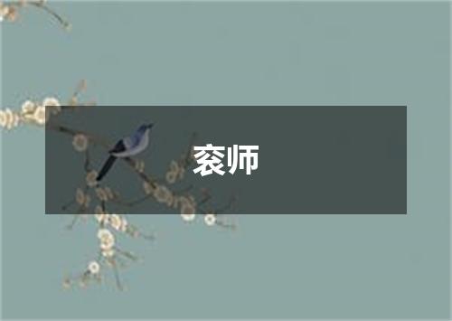 衮师