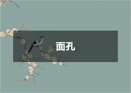 面孔