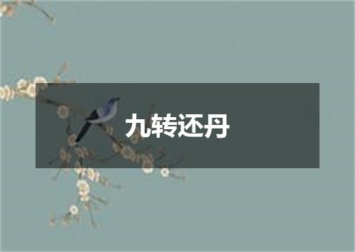 九转还丹