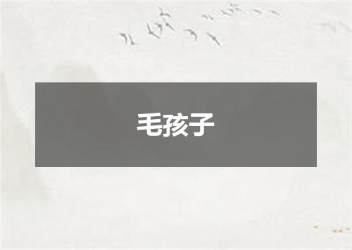 毛孩子