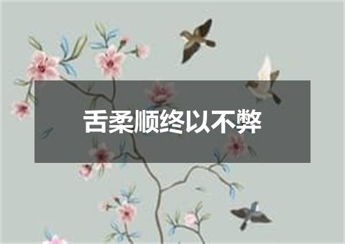 舌柔顺终以不弊