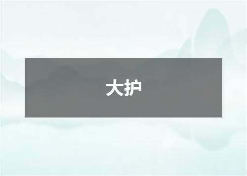 大护