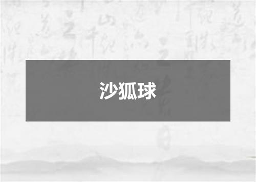沙狐球