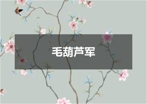 毛葫芦军