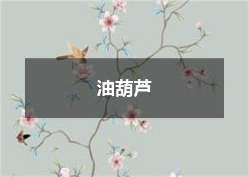 油葫芦