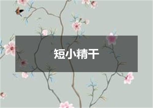 短小精干