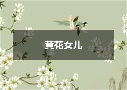 黄花女儿