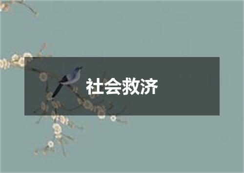 社会救济