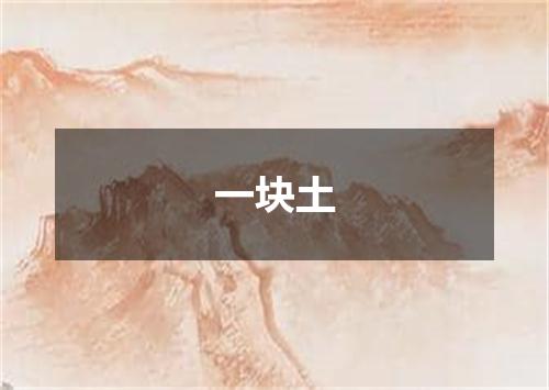 一块土