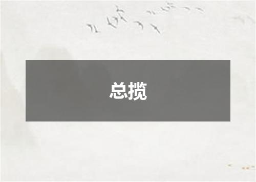 总揽