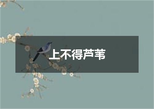 上不得芦苇