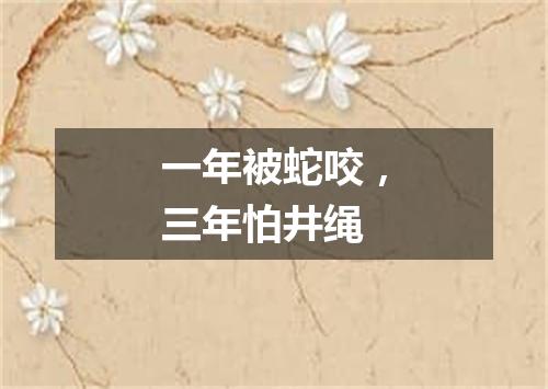 一年被蛇咬，三年怕井绳