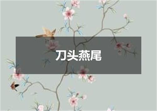 刀头燕尾