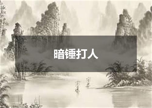 暗锤打人